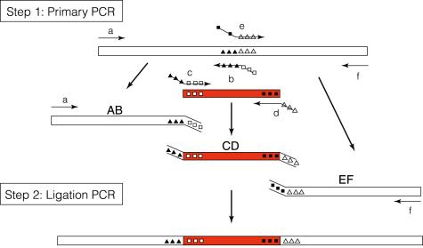 site directed mutagenesis of subtilisin Precise probing of residue roles by post-translational β,γ-c,n aza-michael mutagenesis in enzyme active sites site-directed mutagenesis. site directed mutagenesis of subtilisin Precise probing of residue roles by post-translational β,γ-c,n aza-michael mutagenesis in enzyme active sites site-directed mutagenesis.